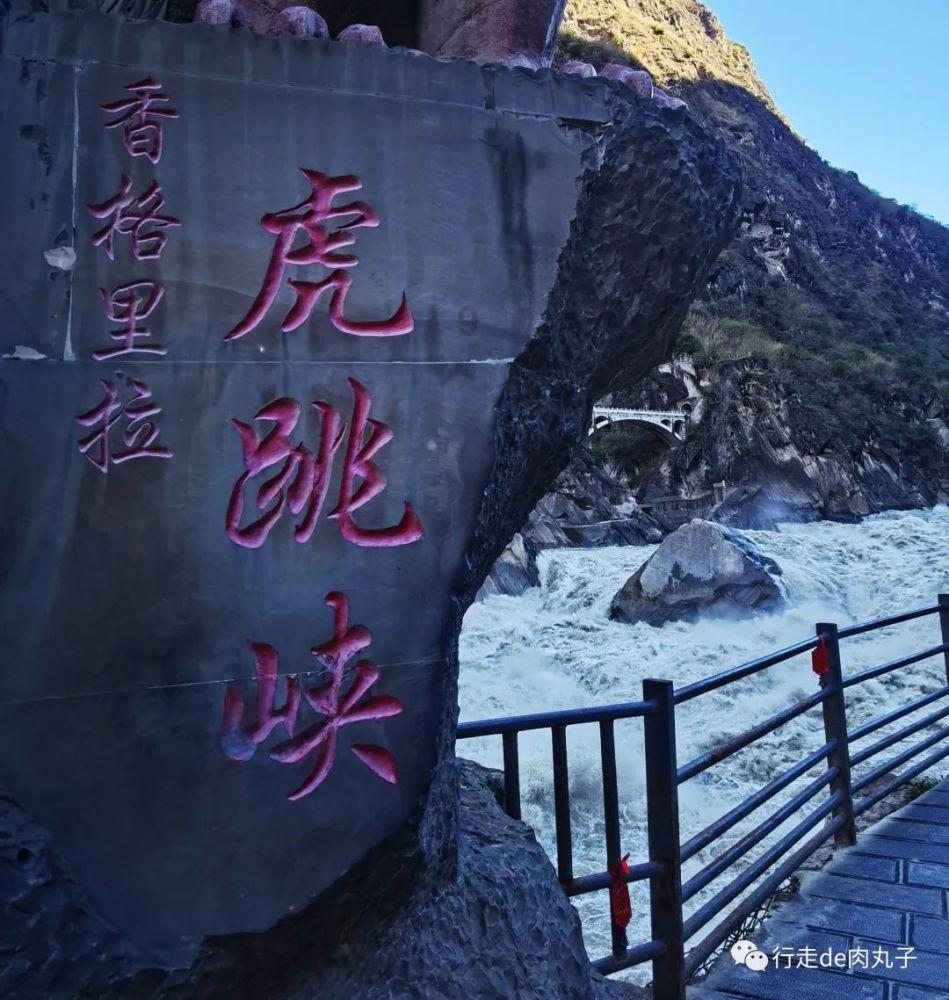 网游之大神莫挡路